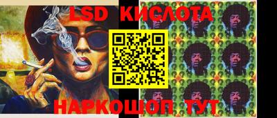 дмт Камышлов