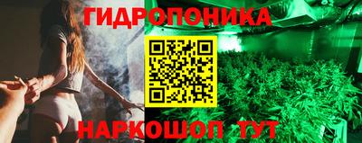 дмт Камышлов