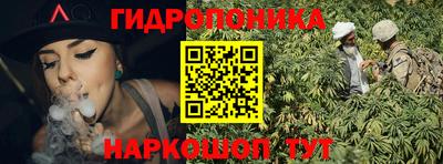 дмт Камышлов